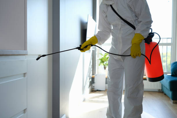 Best Crawl Space Mold Removal  in Chalmette, LA