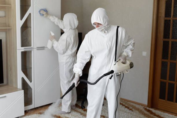 Mold Removal Process in Chalmette, LA