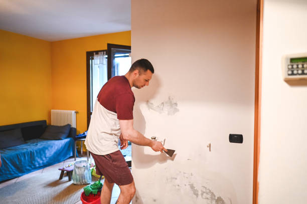 Best Mold Removal Specialists  in Chalmette, LA